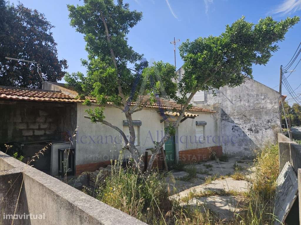 Quinta com 3 Habitações | Pinhal Novo | Terreno 5.400 m²-20