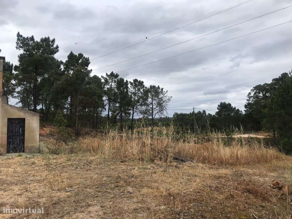 Quinta com casinha na Chancelaria, Torres Novas-8