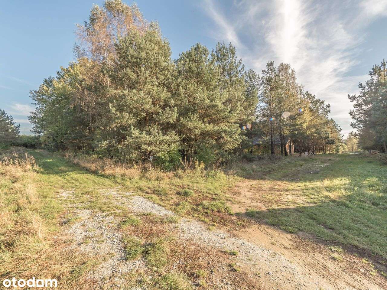 Działki Na Sprzedaż-5