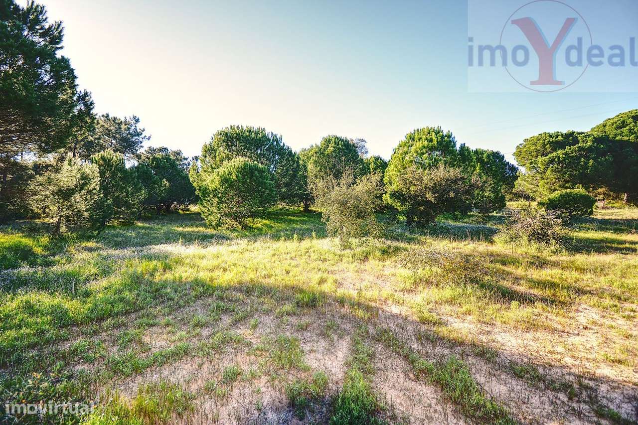 Quinta em Melides-20