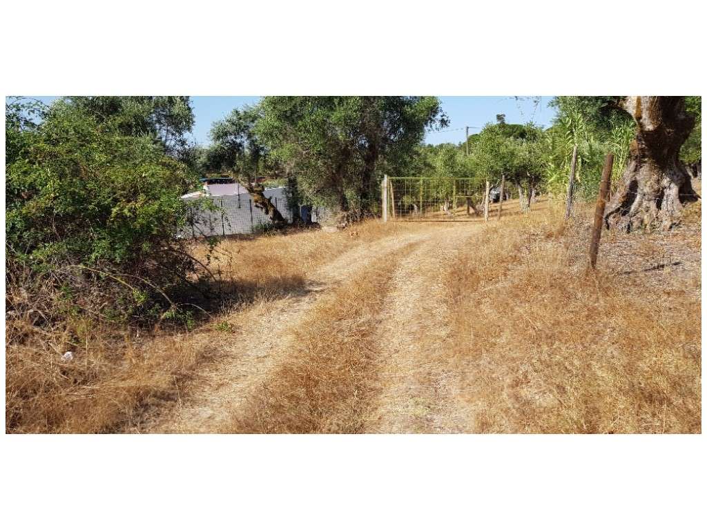 MORADIA - V2 (P/ reconstruir)-10