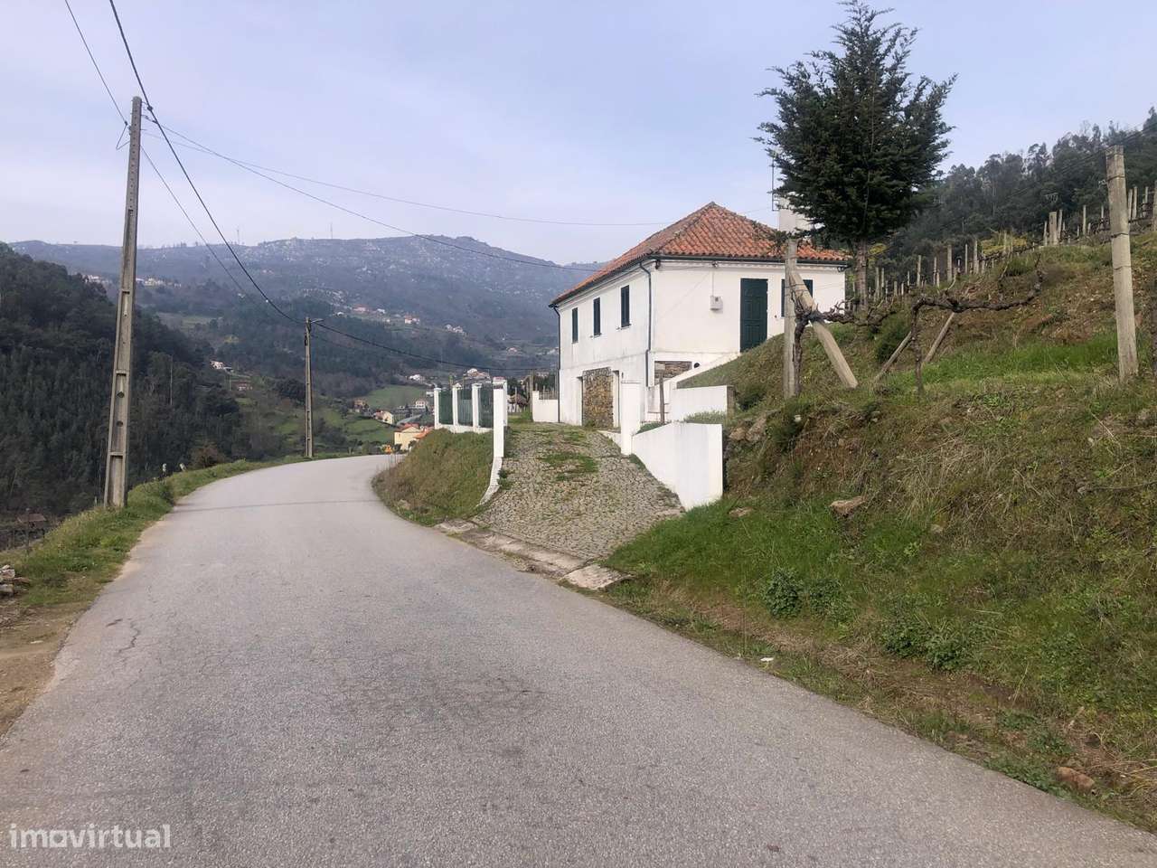 Quinta espetacular na região do vinho verde em plena produção-5