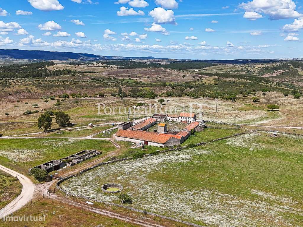 Herdade com 195 ha e 1.900 m2 de área urbana à beira do Tejo - Beir... - Grande imagem: 4/29