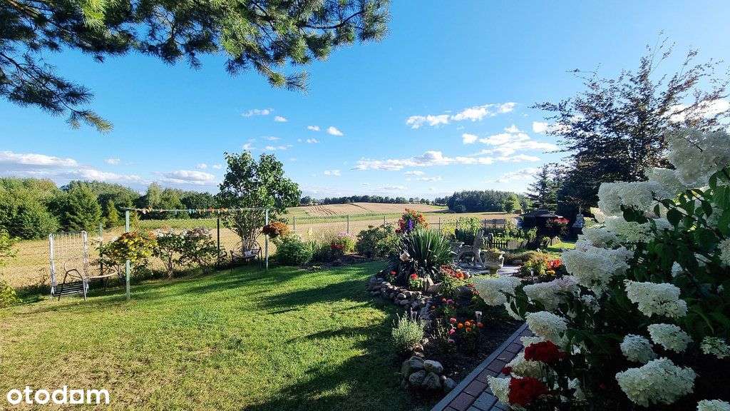 Dom całoroczny z dużą działką - 3 838 m2-4