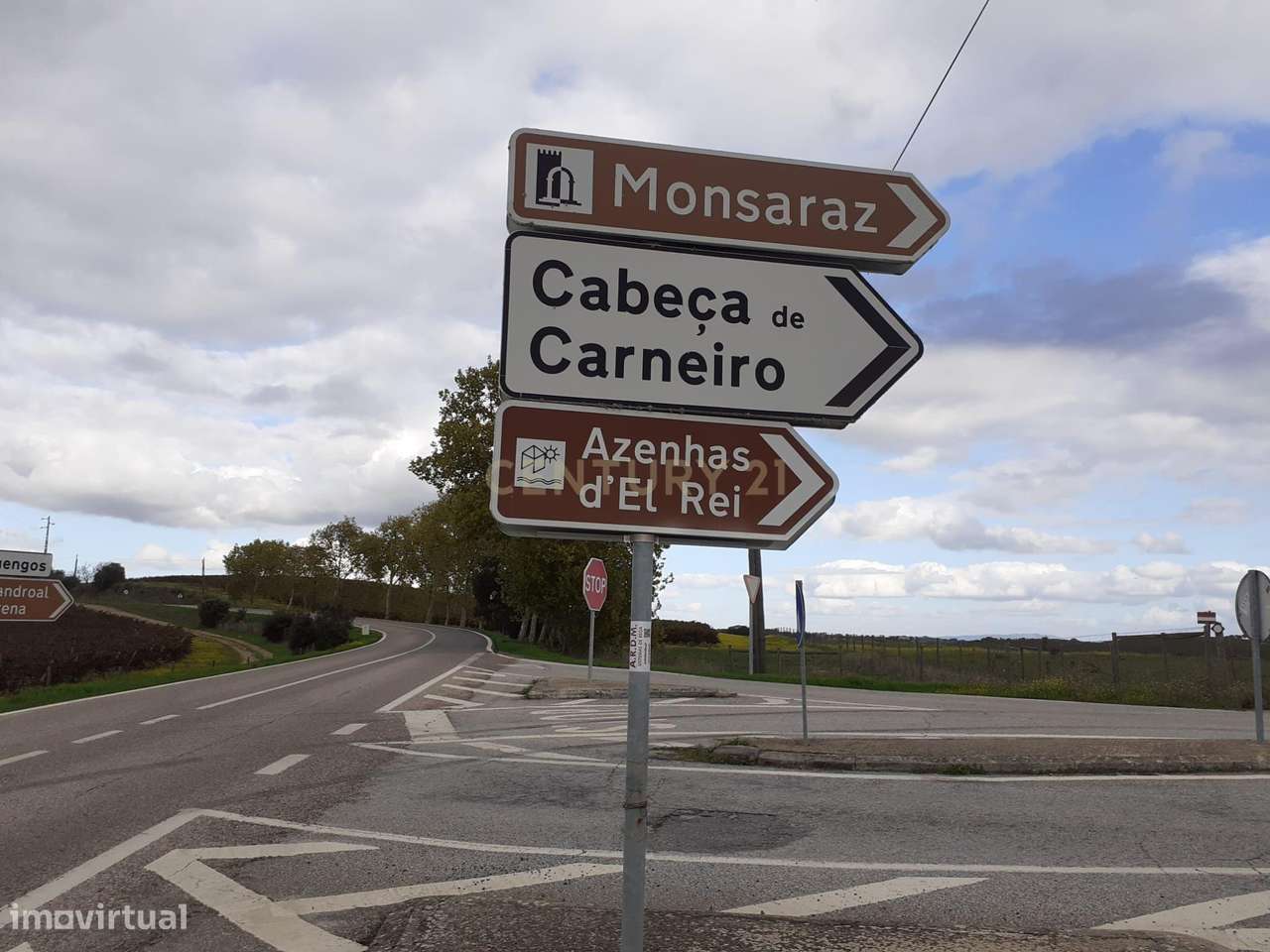 Baldio do Peral e Courela das Caldeiras - Cabeça de Carneiro - Grande imagem: 2/27