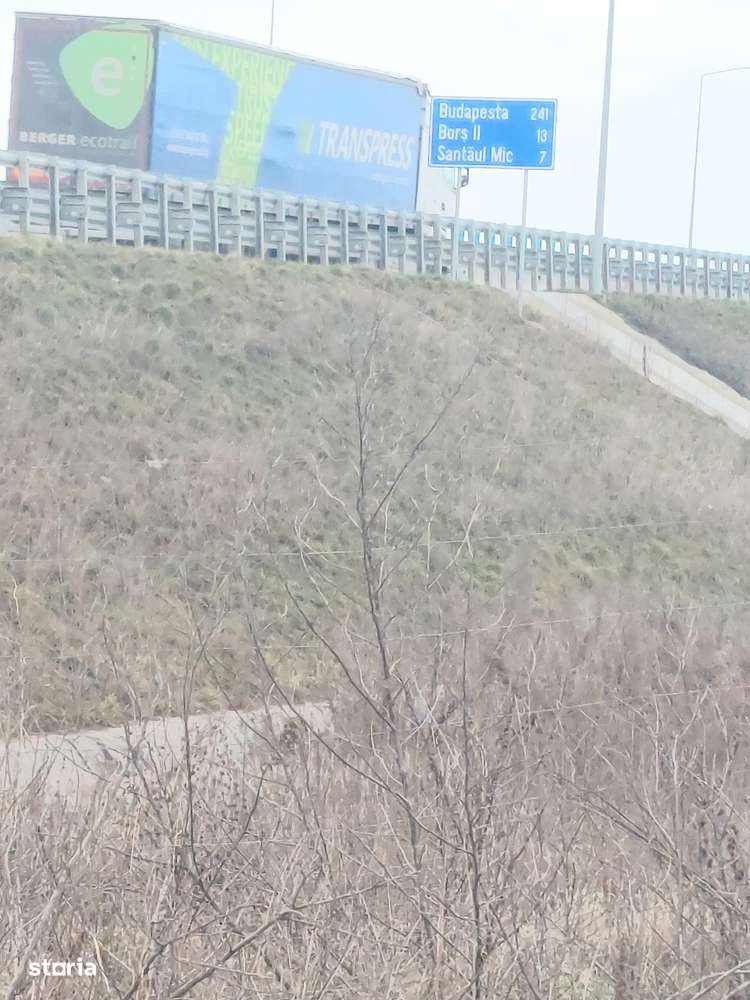 Teren industrial Borș - aproape de centura Borș 2-3