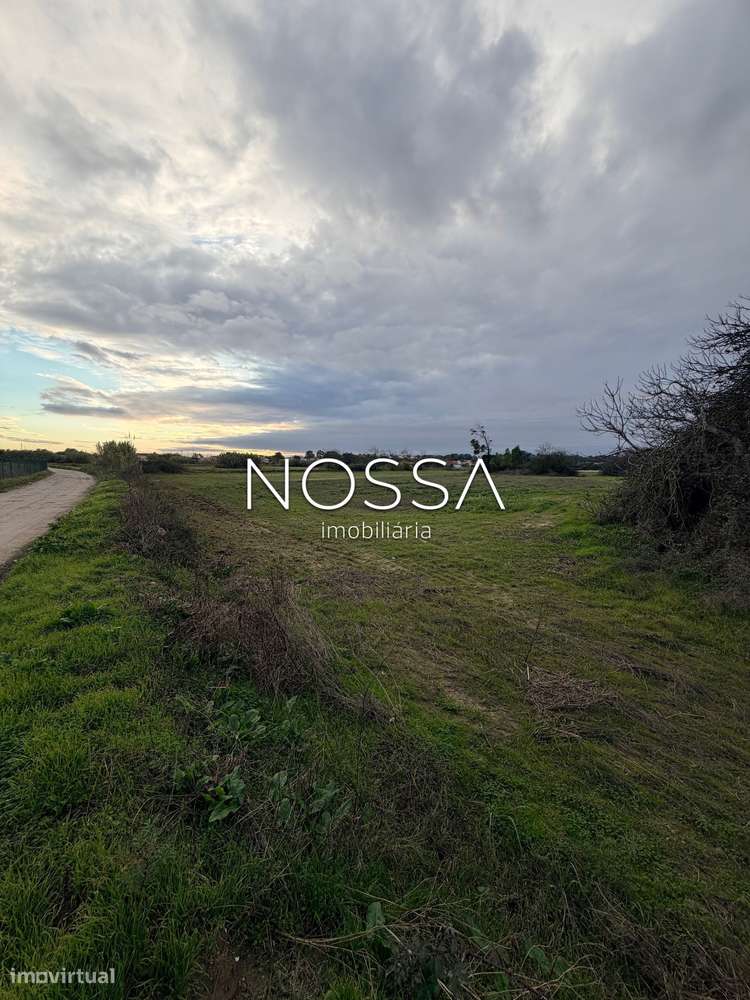 Terreno Misto de 26.520 m² na Barra Cheia – Potencial, Natureza e L...-13