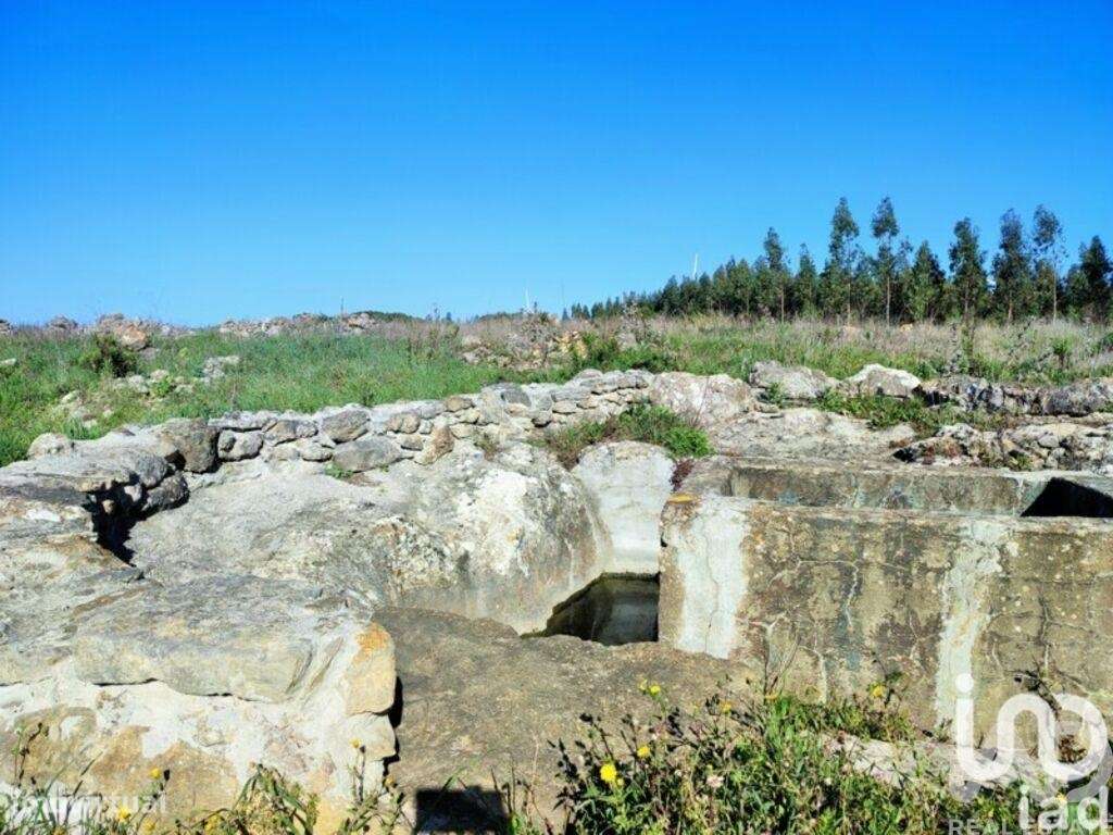 Terreno em Reguengo Grande de 27508,00 m2 - Grande imagem: 4/29