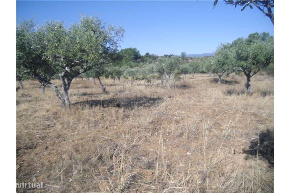 Quinta T0 para venda - Grande imagem: 3/14