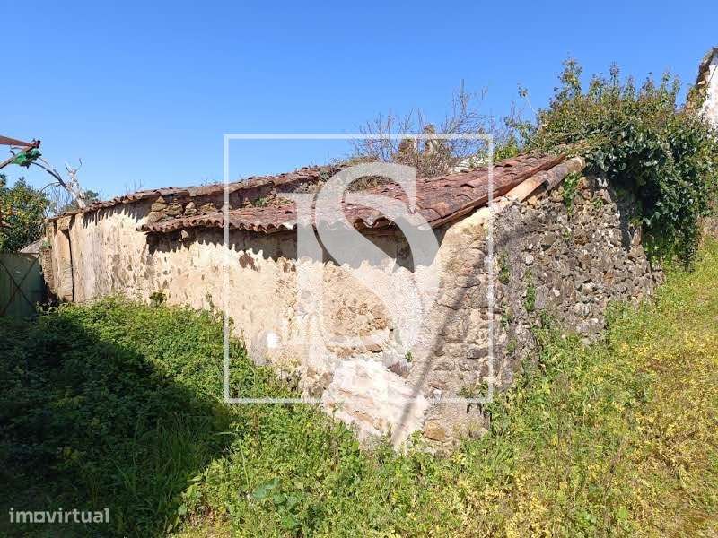 Quintinha – Sardoal - Grande imagem: 3/22