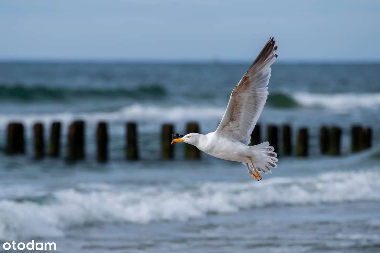 Morze i fantastyczne zachody słońca na wyciągnięcie ręki!-2
