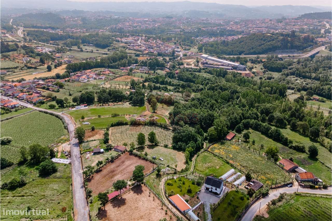 Terreno a 3 km do Centro de Fafe com Vinha e Nascente em Golães- Fafe!-5
