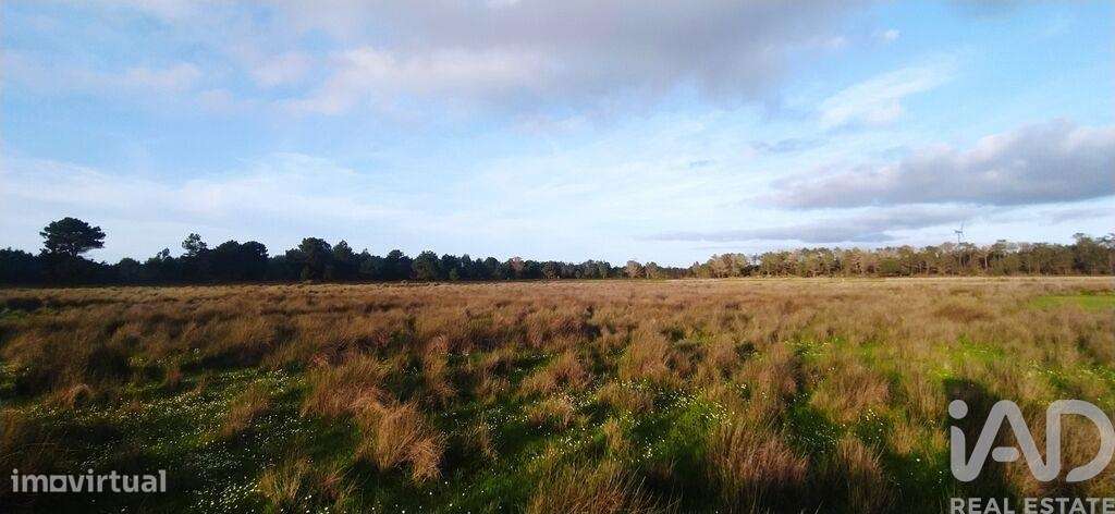 Terreno T1 em Vila do Bispo e Raposeira de 17850,00 m2 - Grande imagem: 5/8
