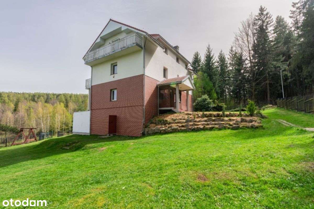 Nietuzinkowa nieruchomość pod lasem - Pełny obrazek: 4/20