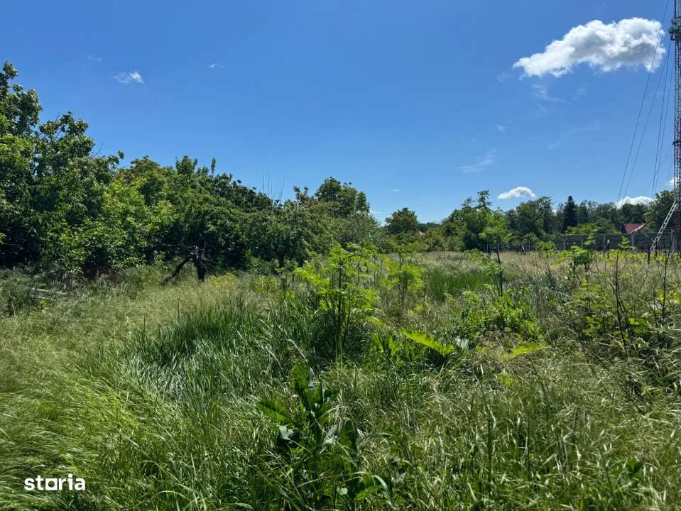 Teren Snagov – Ideal pentru dezvoltare rezidentiala sau investitie! - Imagine principală: 4/5