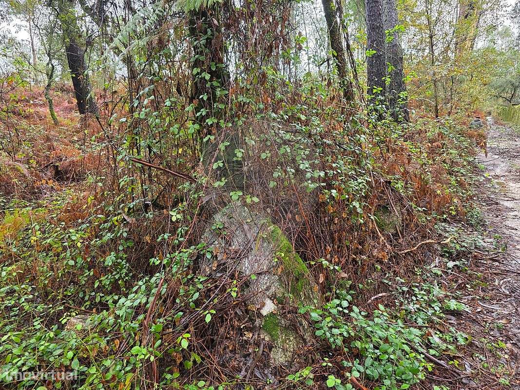 Terreno  para venda - Grande imagem: 4/4