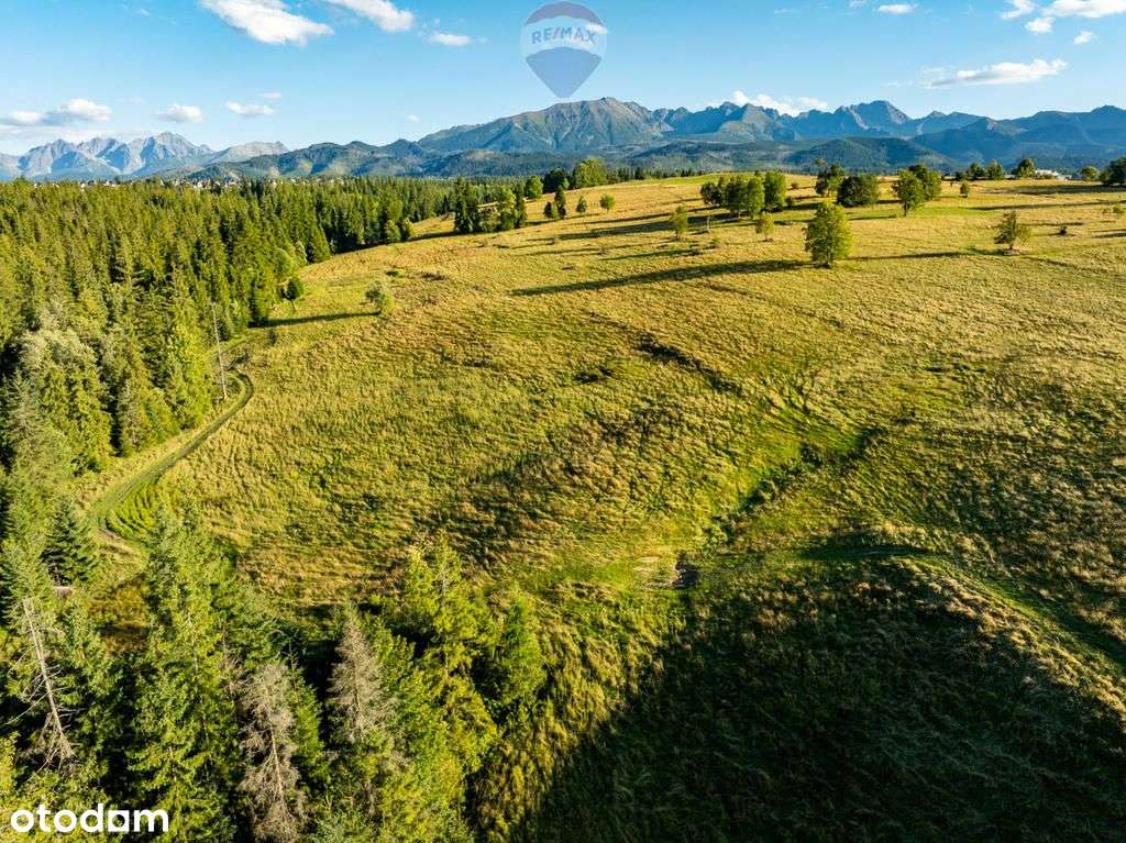 Działka rolno leśna Zakopane