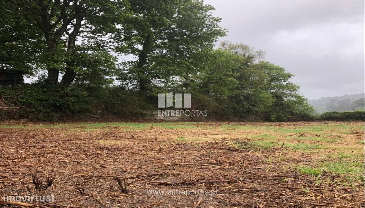 Venda de Terreno de construção, Padornelo, Paredes de Coura - Grande imagem: 5/20