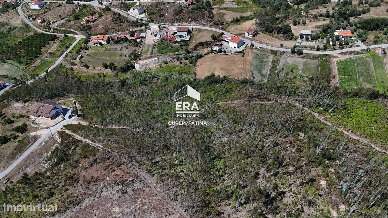 Terreno Florestal em Matas, Ourém-13