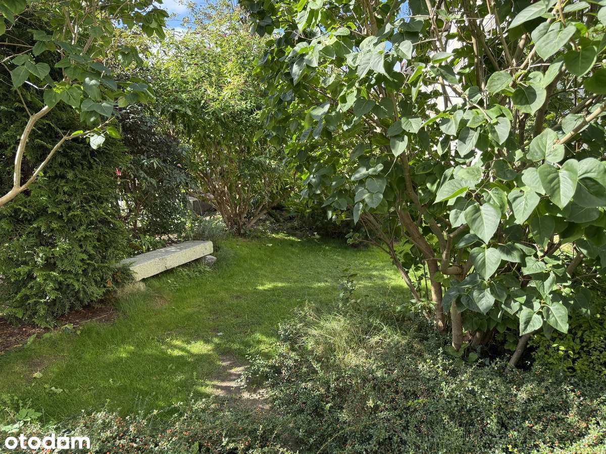 Mieszkanie w Górnym Wrzeszczu, ul Batorego - Pełny obrazek: 4/20