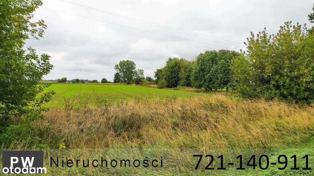 Działka usługowa w okolicach Oleśnicy - Pełny obrazek: 5/19