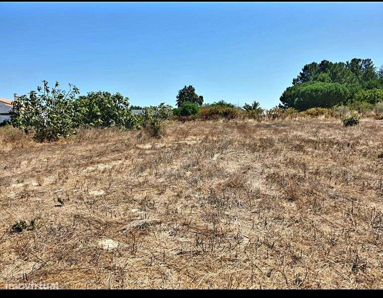 Terreno com Projeto aprovado, 5200m2 - Grande imagem: 4/8