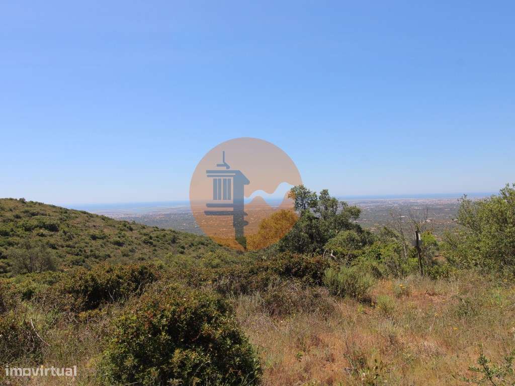 Terreno Rústico - Grande imagem: 3/14