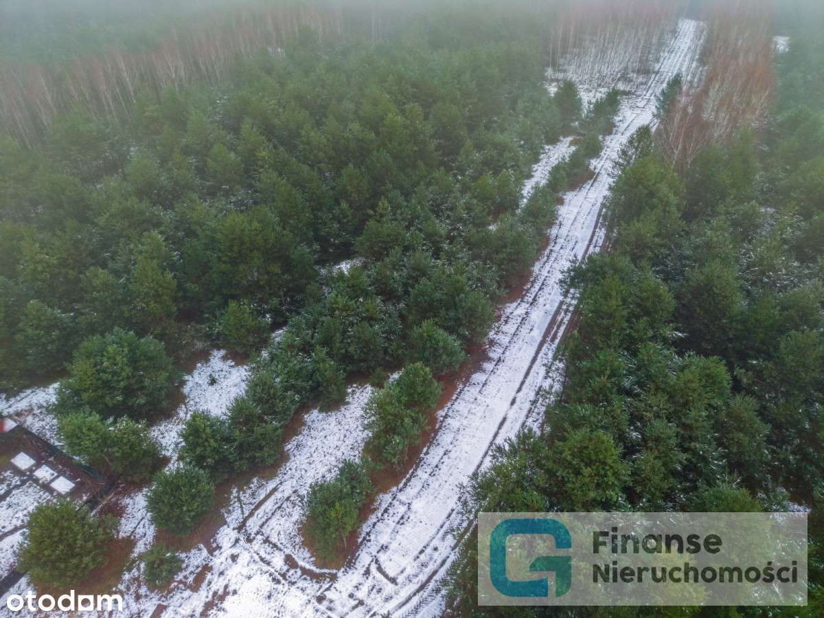 Działki budowlane po 1500 m² – Dąbrówka-9