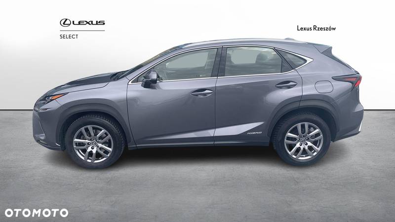 Lexus NX - 2