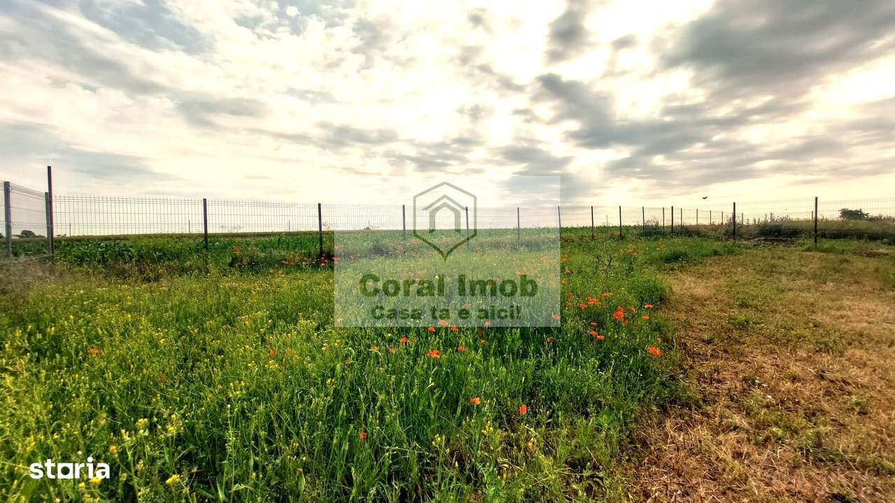 Duplex vanzare in Darvari, Calarasi, format din 2 unitati locative.-10