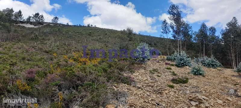 Terreno rústico em Milheirós de Poiares, Santa Maria da Feira - Grande imagem: 5/7