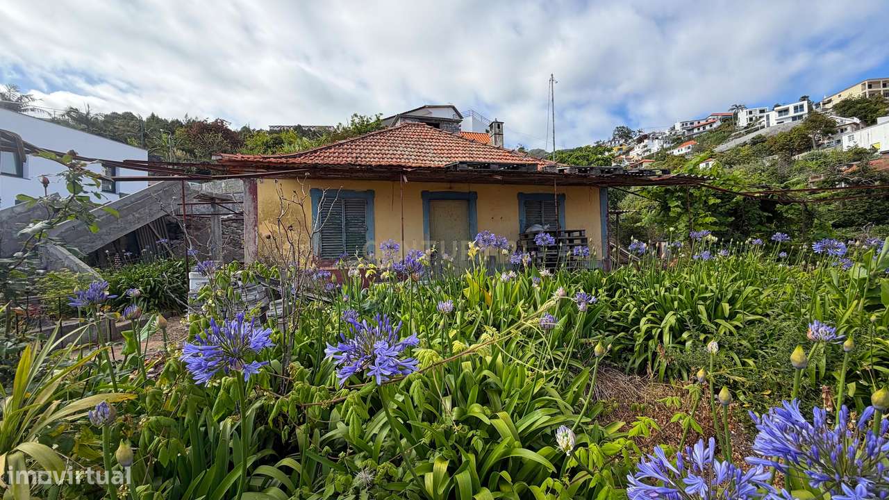 Moradia Tradicional para Recuperar com 2.300m² de Terreno | Livramento-6