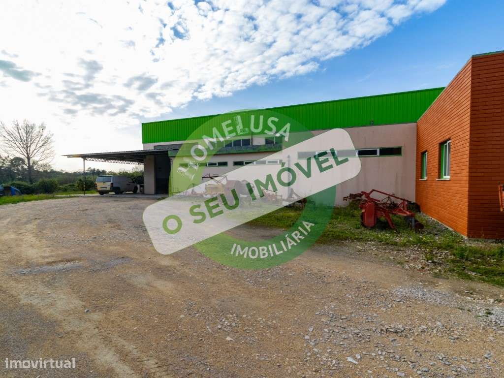 Vende-se Armazém em Cantanhede - Grande imagem: 4/20