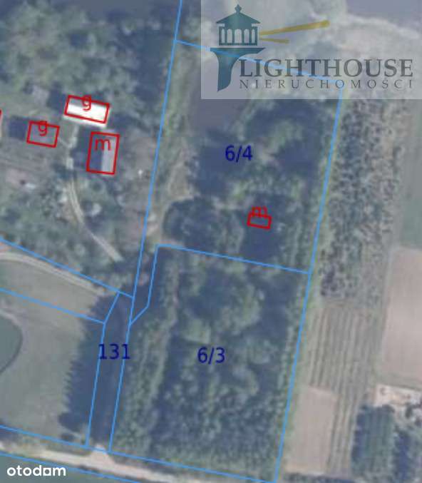 Działka 5500 mkw Trąbki Małe - Pełny obrazek: 5/5