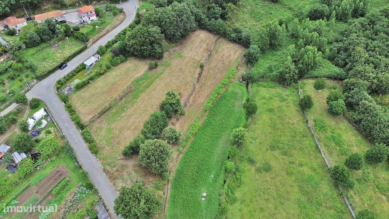 Terreno Agrícola - Grande imagem: 2/11