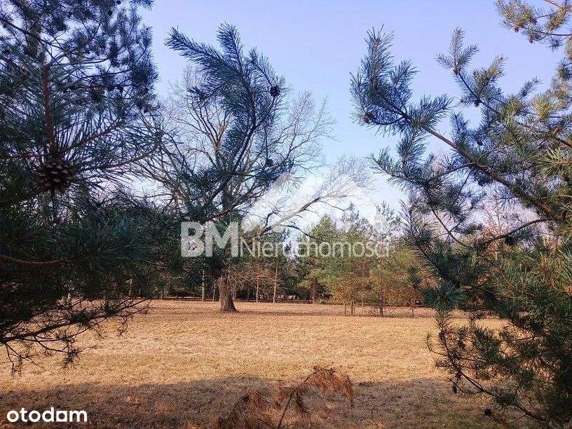 Makówka w/w osiedla Czarny Las-0