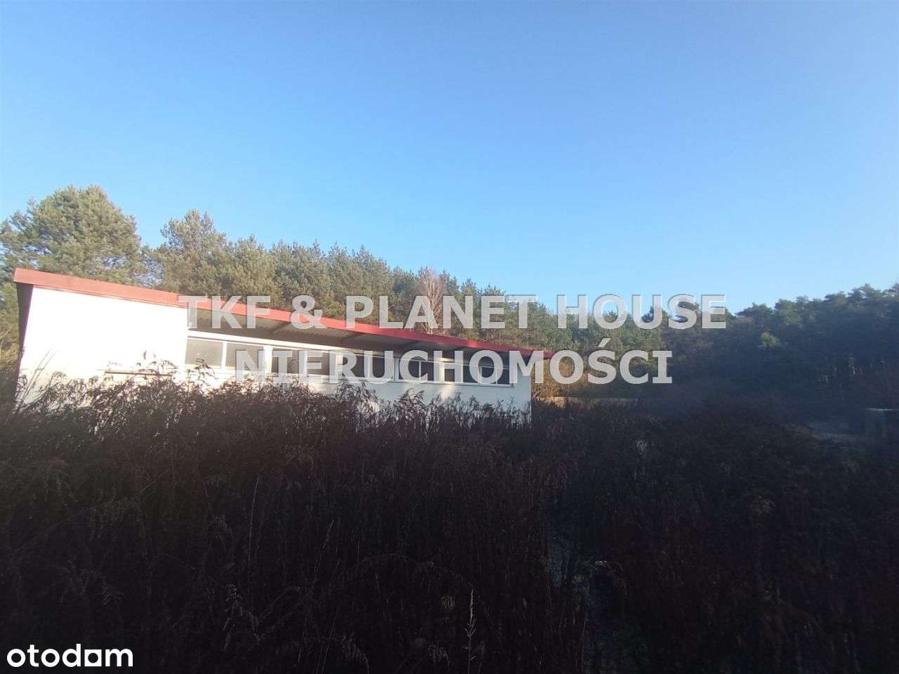 Działka 5617 m2 z halą – Sulejów - Pełny obrazek: 2/12