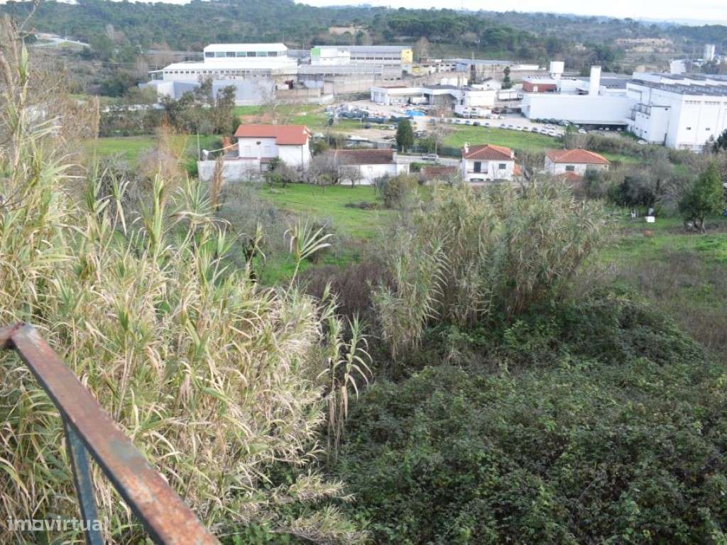 Quinta entre Antanhol e Cernache - Grande imagem: 2/18