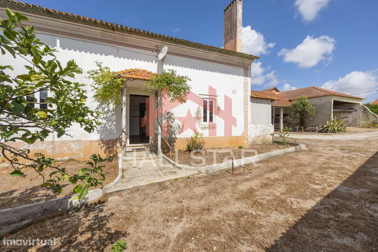 Moradia T3 / Lote com 834.5 m2/ Quintas do Sirol - Grande imagem: 2/51