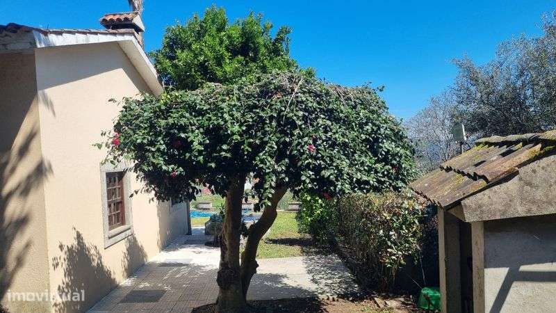 Casa para arrendar - Grande imagem: 4/6