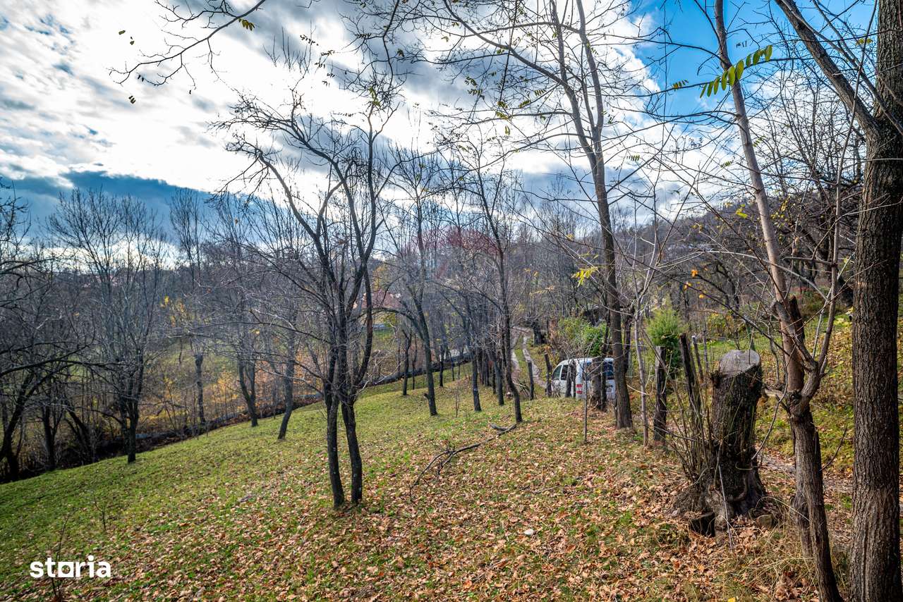 Teren intravilan 4384 mp – Comuna Talea,  județul Prahova - Imagine principală: 4/10