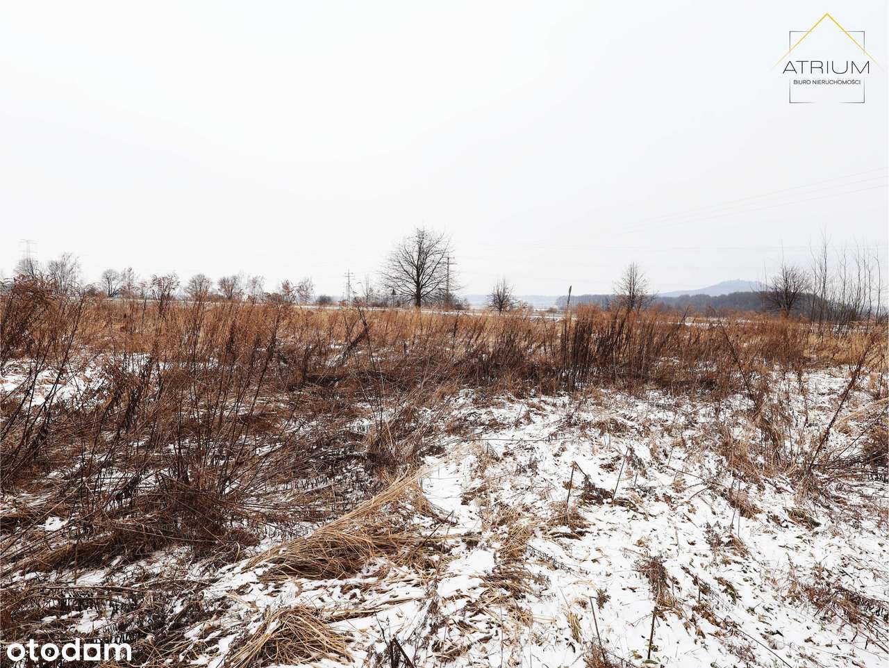 Działka budowlana Nowa Wieś Grodziska | widok na Zamek Grodziec-2