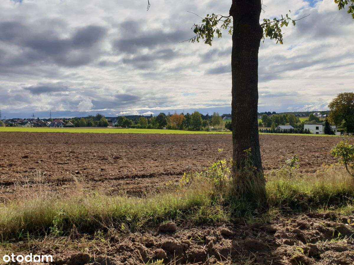 Przyjaźń działka blisko Gdańska - Pełny obrazek: 4/7