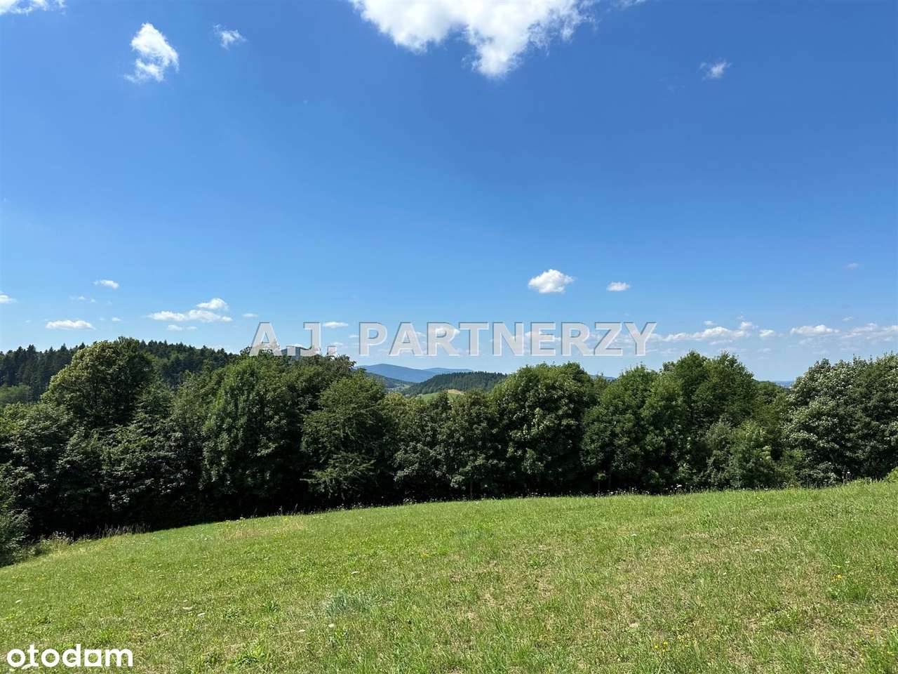 Działka w otoczeniu lasu z widokiem na góry-6