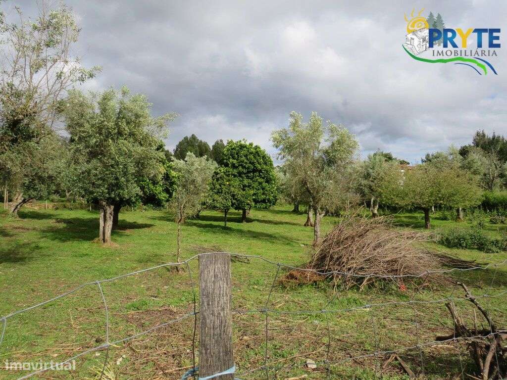 Terreno para construção de duas moradias a 5 minutos da Sertã - Grande imagem: 4/23