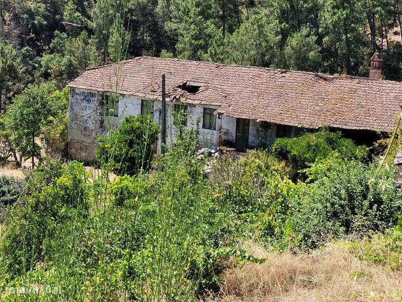 vende se quinta com 15 hectares - Grande imagem: 4/8