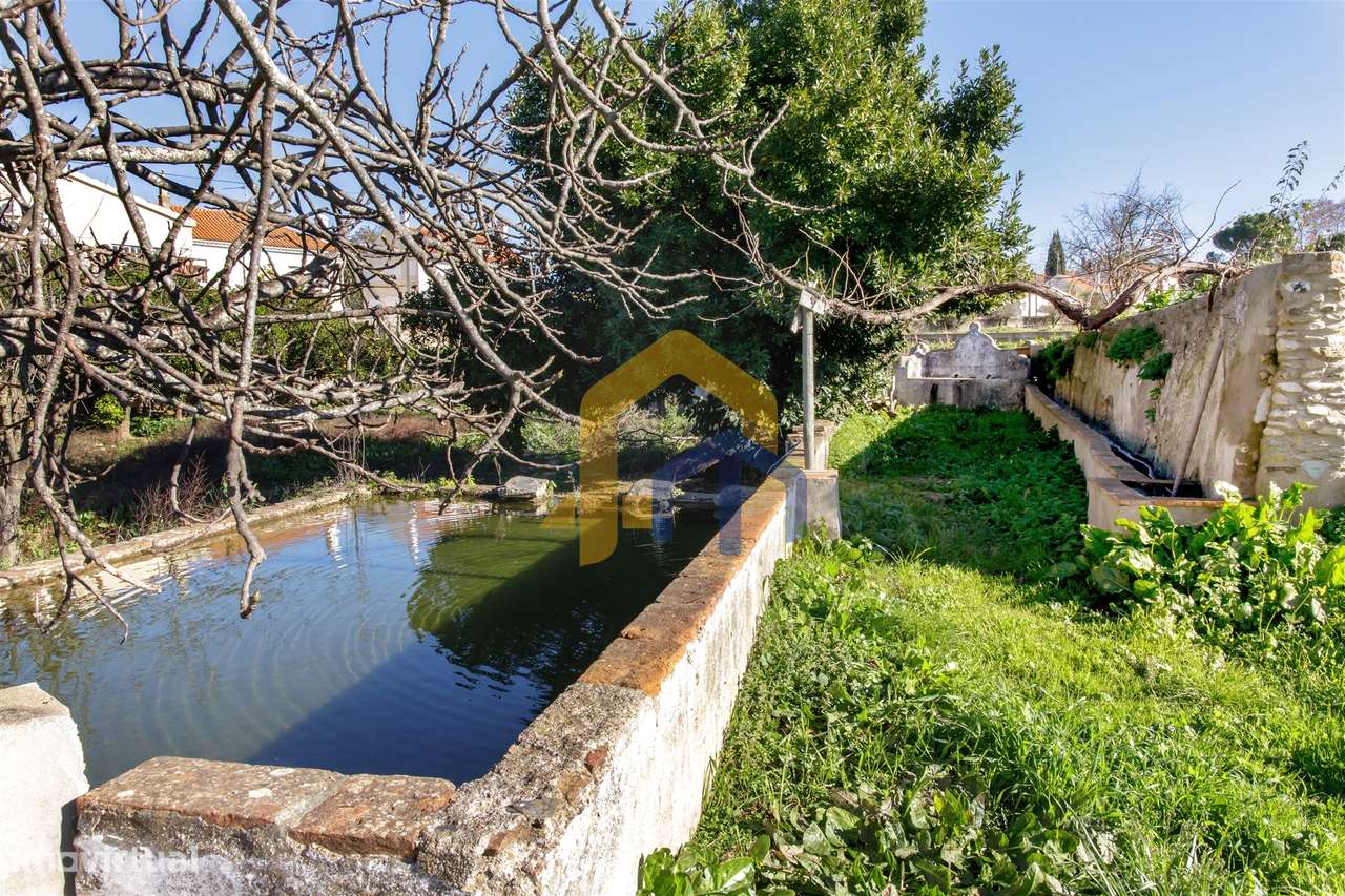 Quintinha >=T10 Venda em Estremoz (Santa Maria e Santo André),Estremoz - Grande imagem: 5/49