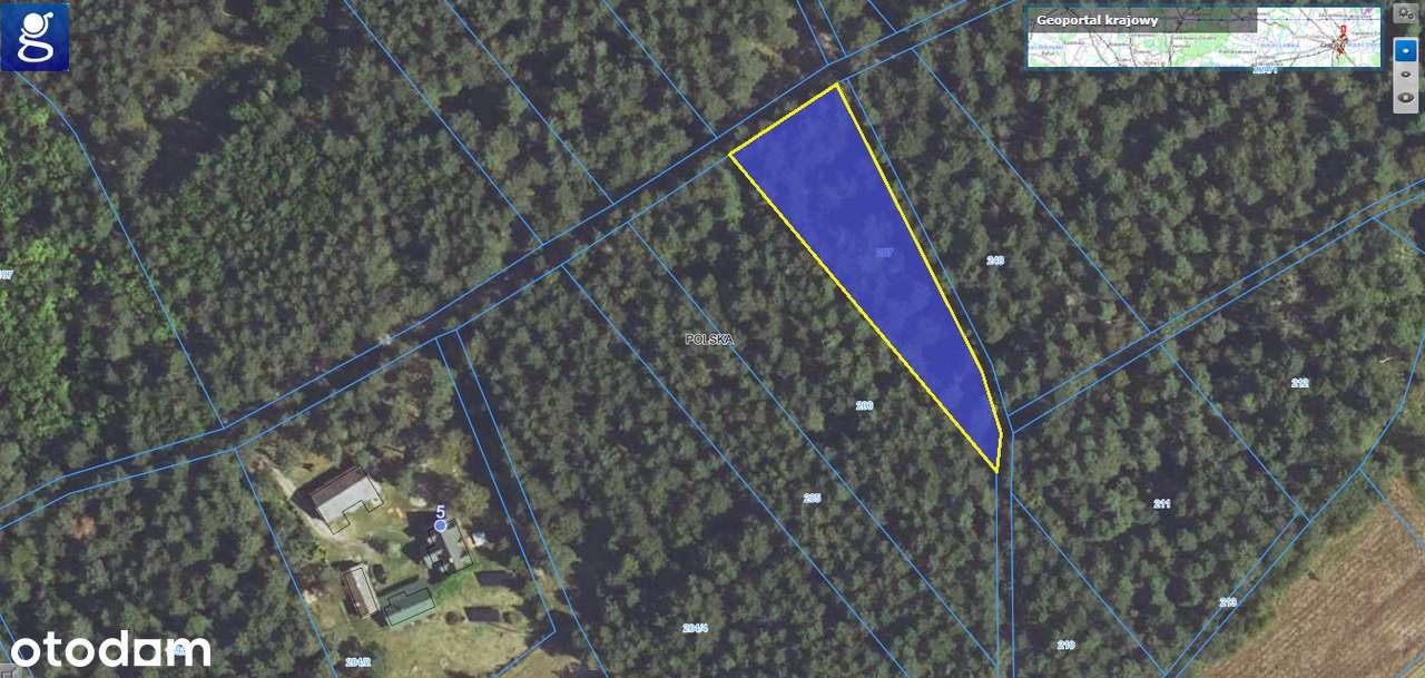 Działka budowlana w samym środku lasu! Kroczyce - Pełny obrazek: 4/5