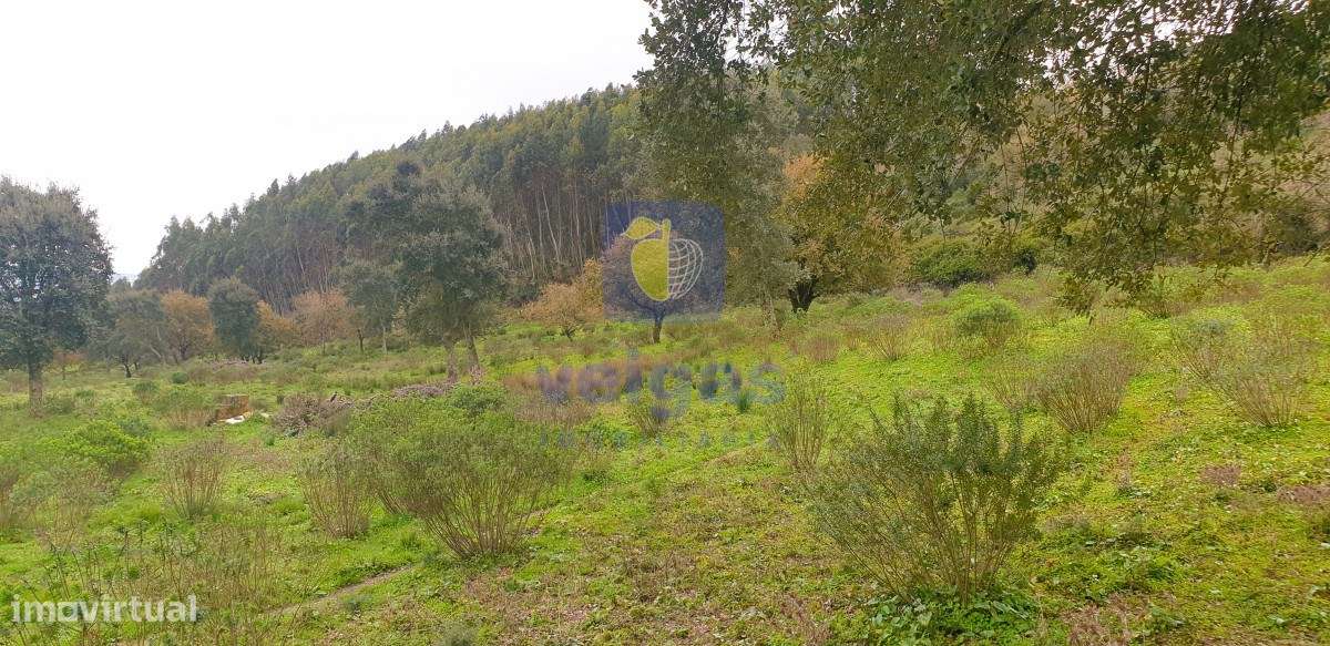 Terreno Arruda dos Vinhos - Grande imagem: 5/19