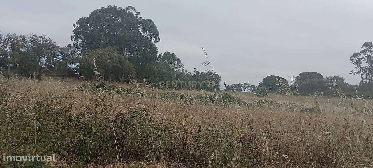 Terreno Rústico de 36,760m², Vale do Cobro, Oportunidade Rara - Grande imagem: 4/15